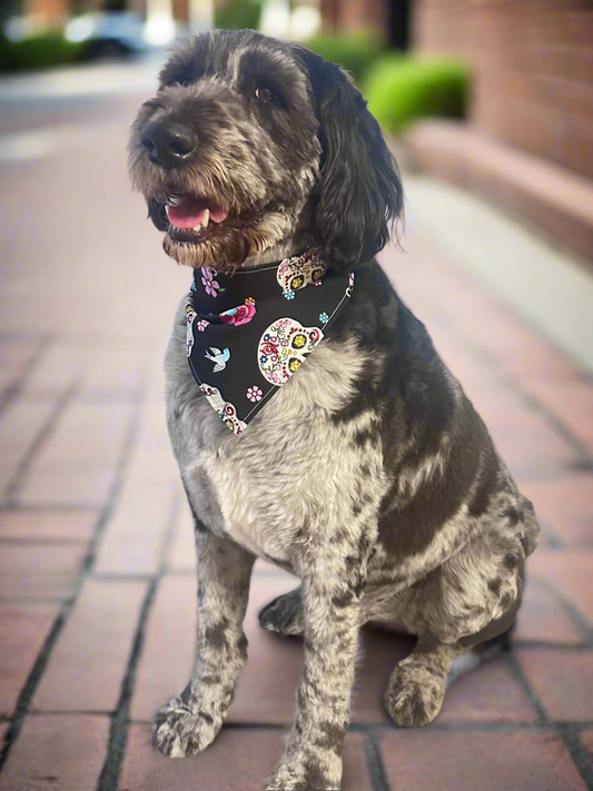 A- Pet Bandanas