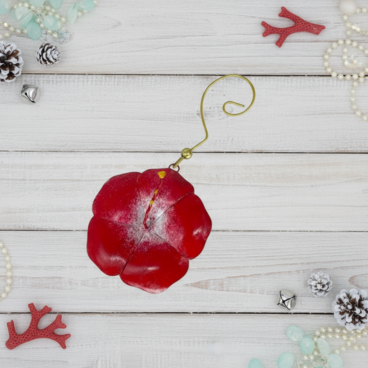 Christmas Ornaments-Tropical